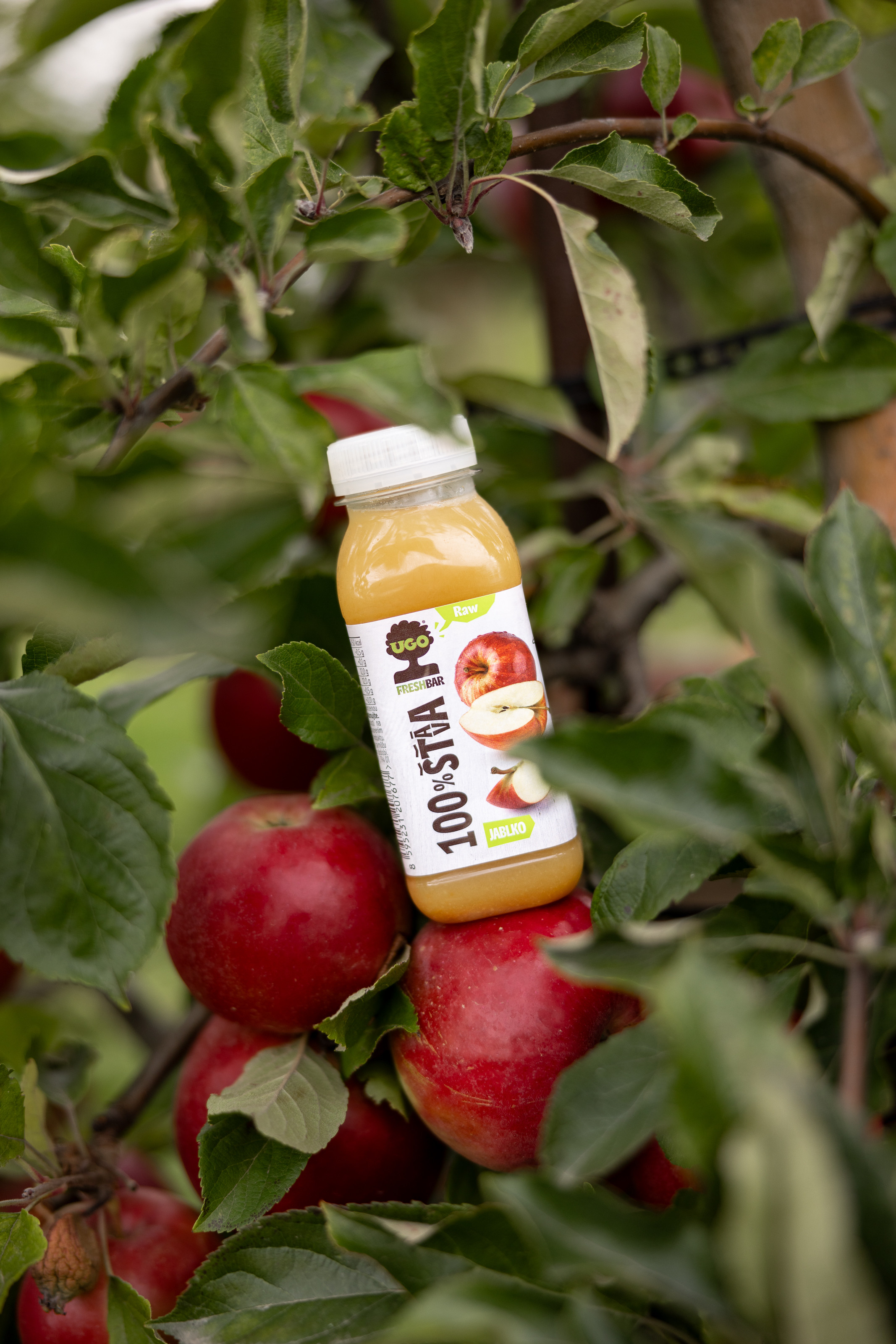 Kofola becomes owner of apple orchards in the Czech Republic  and co-owner of coffee plantations in Colombia